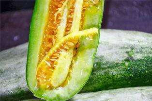 网红蔡二哥吃瓜,揭秘网红圈幕后故事  第3张